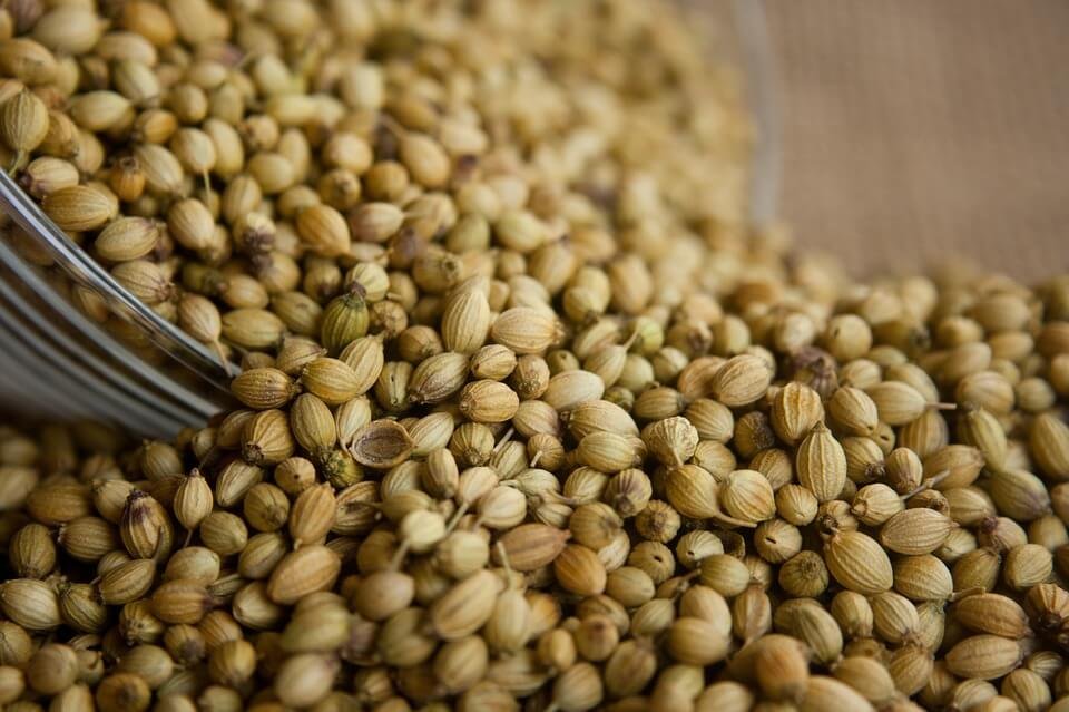 Coriander Seeds (Dhania)