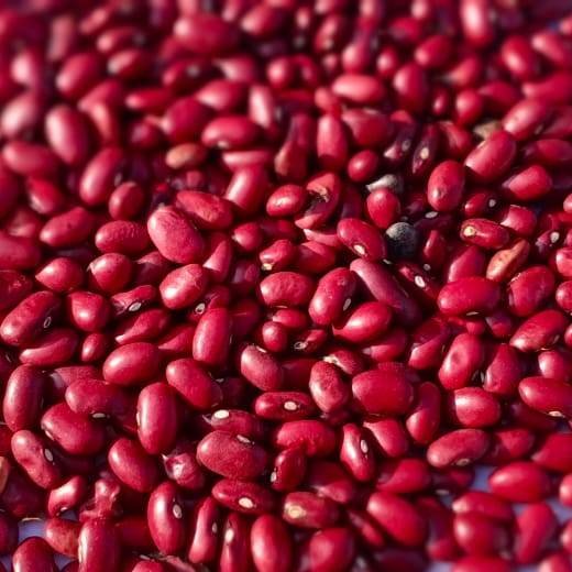 Kidney Beans (Rajma)