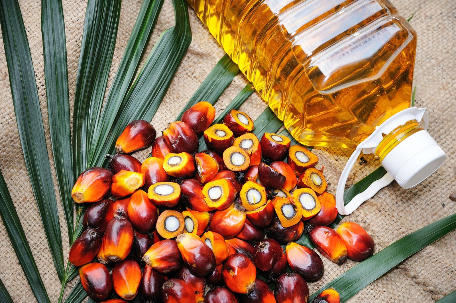 Palm Oil (Crude & Refined)